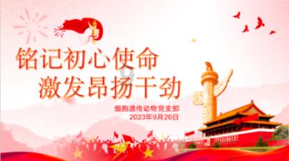 有媒体拍到孙俪开车带邓超外出聚餐，超哥和娘娘的感情为何令众人向往？游戏画面